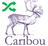 Caribou KVS with Privacy Perturbations